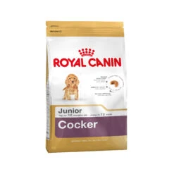 Royal Canin Cocker Puppy - Hondenvoer -KONG Verkoopwinkel 139660b7d4c3f7b3e669646bc66d96e0e43befc75073da92ec7f60325929141e 3 5