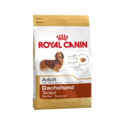 Royal Canin Dachshund Adult - Hondenvoer -KONG Verkoopwinkel 1bbc7de56bb4ee0997e0bbb87bac5afe19ea8f084dcef05871b0db5f23307a9d 4