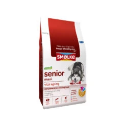 Smølke Hond Senior Maxi 7 Smølke Hond Senior Maxi -KONG Verkoopwinkel 1fc91899e3a014ad1ef721a4f8ab2128c2dfe7cffab25ad6a4ee32c9b66b77b7 4