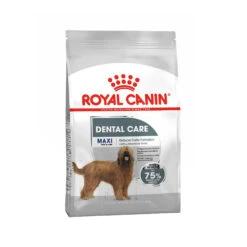 Royal Canin Maxi Dental Care - Hondenvoer -KONG Verkoopwinkel 3bb0c1eb05e7cea624f46b964cc0806b05675262122f4cab9dadf7414f444fb9 4