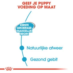 Royal Canin Starter Mousse Mother & Babydog - Hondenvoer -KONG Verkoopwinkel 4BbNtC7cXKeUzenCJB06d6YBi6Fpcj metaUm95YWwtQ2FuaW4tU3RhcnRlci1Nb3Vzc2UtTW90aGVyLSYtQmFieWRvZ18wMi5qcGc