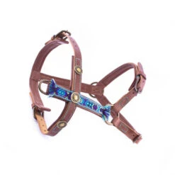 DWAM Hondentuigje Boho Juan -KONG Verkoopwinkel 4a136a178673ebb6998174c8da4d58d21714564dd3a8bc41f3efa5480e657e5d 3