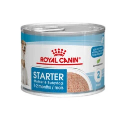 Royal Canin Starter Mousse Mother & Babydog - Hondenvoer -KONG Verkoopwinkel 5z2JtRtb3ObJ7xpTKaN2xq612CRFcN metacm95YWxfY2FuaW5fc3RhcnRlcl9tb3Vzc2VfbW90aGVyX2JhYnlkb2dfX2hvbmRlbnZvZXJfMjA3MjkwXzA1MDBfbm9uZS5qcGc