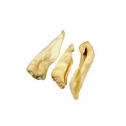 Competition Geitenoren Adult 5 Competition Geitenoren Adult -KONG Verkoopwinkel 739152c17d3f9a966001e738d8accc97158ed8f8e8828c83c2652bad537110c2 3 5