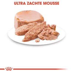Royal Canin Starter Mousse Mother & Babydog - Hondenvoer -KONG Verkoopwinkel GqgSbwsJThFJlZBZIWLeUHVUCR2y4r metaUm95YWwtQ2FuaW4tU3RhcnRlci1Nb3Vzc2UtTW90aGVyLSYtQmFieWRvZ18wMy5qcGc