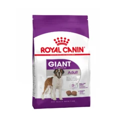 Royal Canin Giant Adult - Hondenvoer -KONG Verkoopwinkel aa79ff2f52da671964e5d64bdf268f1db22b949566d61012957cb8c242e3759a 4