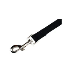 Beeztees Nylon Sliplijn -KONG Verkoopwinkel beeztees nylon hondenriem 198527 2000 none