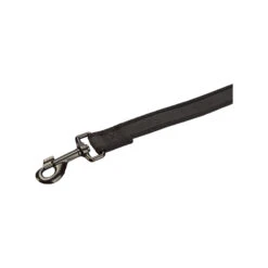 Beeztees Parinca Premium Weblijn -KONG Verkoopwinkel beeztees parinca premium weblijn 200144 2000 none