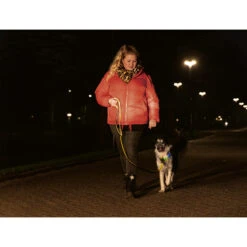 Beeztees Safety Gear Parinca Premium Hondenriem -KONG Verkoopwinkel beeztees safety gear parinca premium hondenriem 215042 2000 none