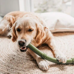 Beeztees Sumo Fit Stick -KONG Verkoopwinkel beeztees sumo fit stick 178435 1000 none