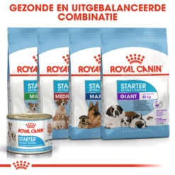 Royal Canin Starter Mousse Mother & Babydog - Hondenvoer -KONG Verkoopwinkel bl4p5kMJ1OokI1JY0jjsb1ddnBlXBM metaUm95YWwtQ2FuaW4tU3RhcnRlci1Nb3Vzc2UtTW90aGVyLSYtQmFieWRvZ18wNC5qcGc