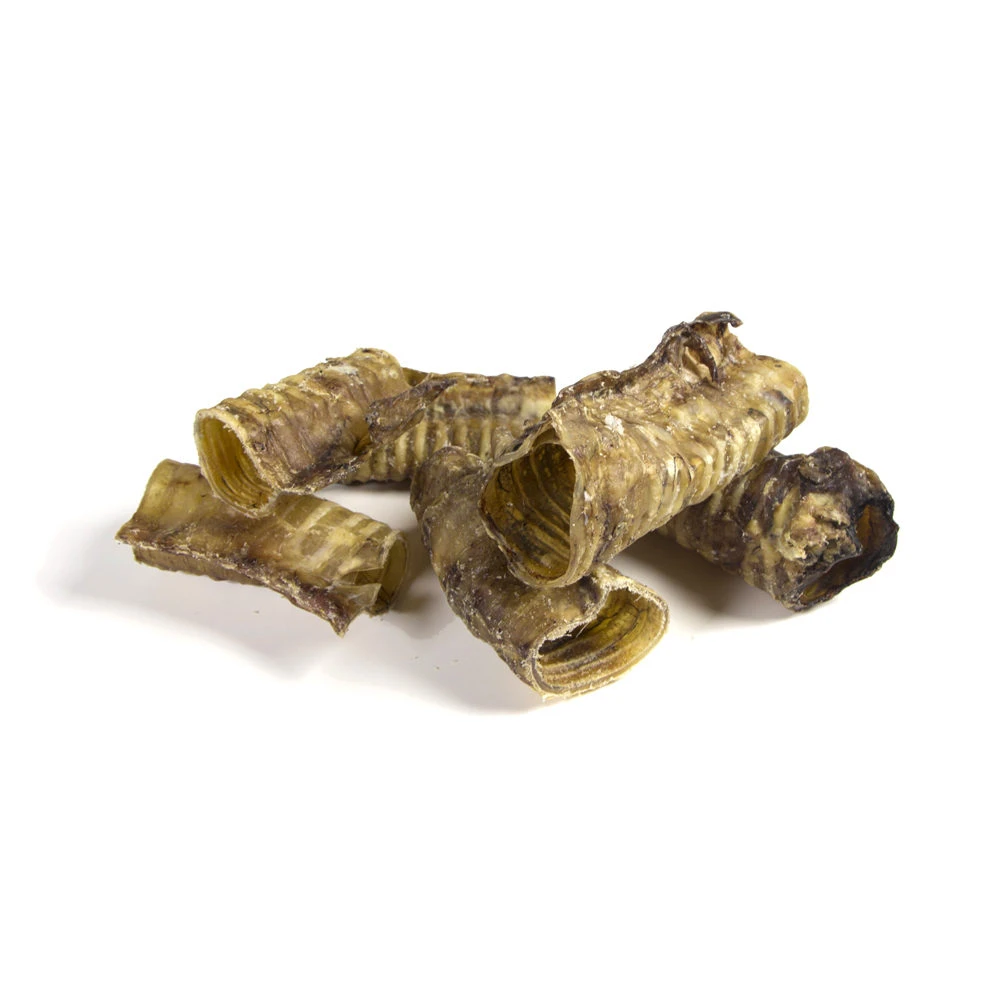 Competition Runderluchtpijp 4 Competition Runderluchtpijp - Afbeelding 4