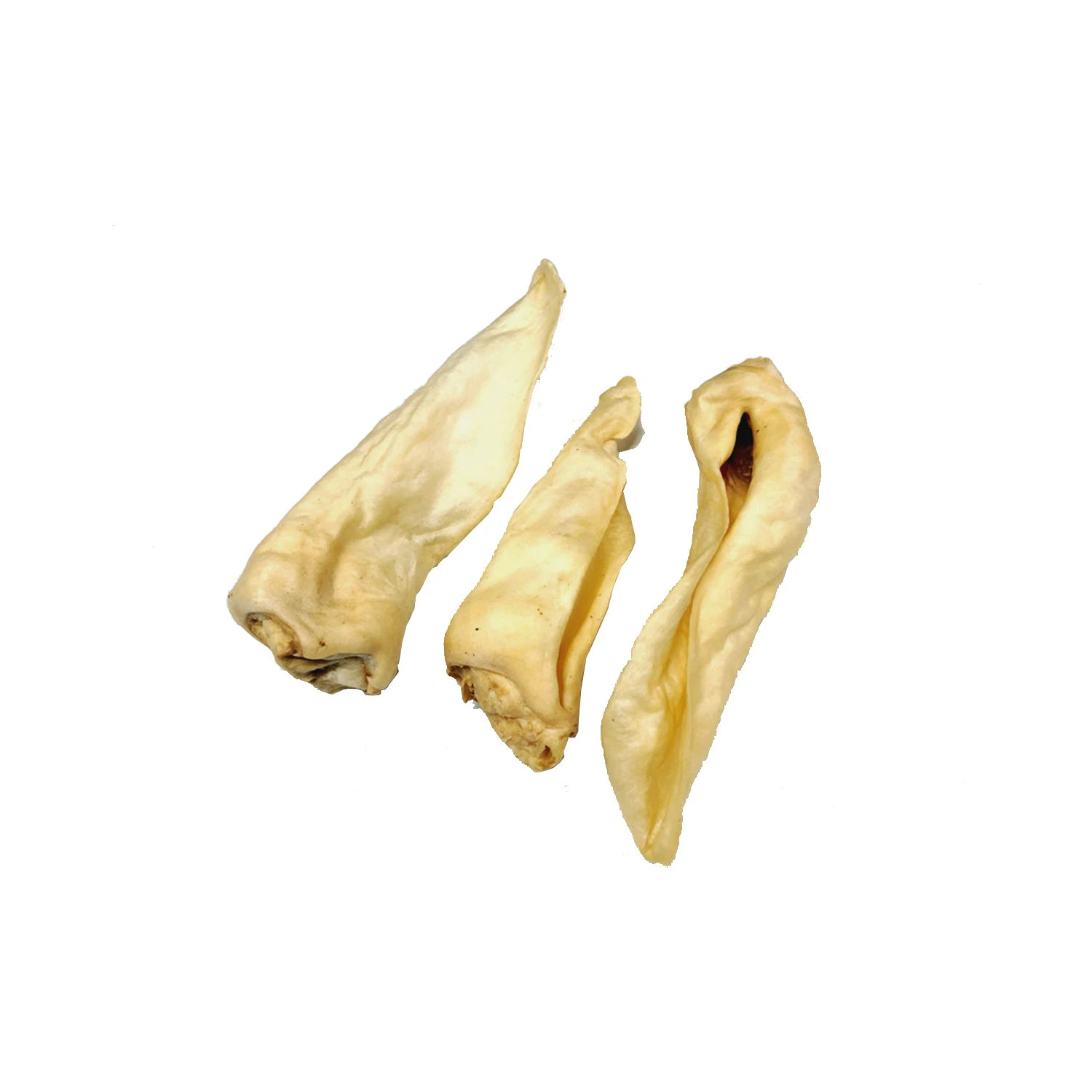 Competition Geitenoren Adult 2 Competition Geitenoren Adult - Afbeelding 2