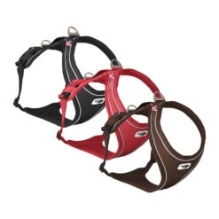 Curli Belka Comfort Harness 31 Curli Belka Comfort Harness -KONG Verkoopwinkel curli belka comfort harness 136339 1000 none