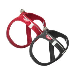 Curli Magnetic Vest Harness 22 Curli Magnetic Vest Harness -KONG Verkoopwinkel curli magnetic vest harness 136330 1000 none