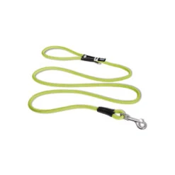 Curli Stretch Comfort Leash -KONG Verkoopwinkel curli stretch comfort leash lime l 134831 1000 none