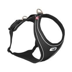 Curli Belka Comfort Harness 29 Curli Belka Comfort Harness -KONG Verkoopwinkel d2a91f131f0a5936c64ed32c3522d5face14fca12c2fa7ff67b8c2aa0bed6c07 3