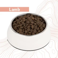 Antelope Fresh Adult Hondenvoer -KONG Verkoopwinkel dnlmZiK5CGm1AT44rBAIQzpXogTZ11 metaYW50ZWxvcGVfZnJlc2hfYWR1bHRfaG9uZGVudm9lcl9sYW1iLmpwZw