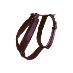 Kentucky Dog Harness Active Velvet 38 Kentucky Dog Harness Active Velvet -KONG Verkoopwinkel dog harness active velvet bordeaux l 38 x 58 cm 134646 0500 none