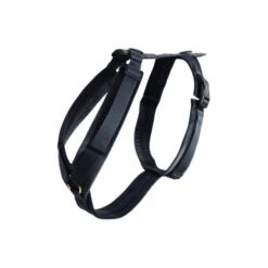 Kentucky Dog Harness Active Velvet 31 Kentucky Dog Harness Active Velvet -KONG Verkoopwinkel dog harness active velvet black xs 22 x 36 cm 134633 0500 none
