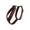 Kentucky Dog Harness Active Velvet