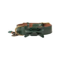 DWAM Halsband Bowie -KONG Verkoopwinkel dwam bowie halsband groen xxl 113224 1000 none