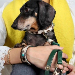 DWAM Hondenriem Ivy -KONG Verkoopwinkel dwam hondenriem ivy 180697 1000 none