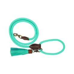 DWAM Hondenriem Jade -KONG Verkoopwinkel dwam hondenriem jade 189426 2000 none