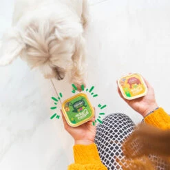 Edgard & Cooper Adult - Lam & Rund - Kuipje -KONG Verkoopwinkel edgard cooper adult lam rund kuipje 168636 2000 none