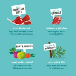 Edgard & Cooper Adult - Lam & Rund - Kuipje -KONG Verkoopwinkel edgard cooper adult lam rund kuipje 168639 1000 none