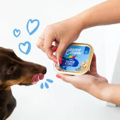 Edgard & Cooper Adult - Zalm & Kalkoen - Kuipje -KONG Verkoopwinkel edgard cooper adult zalm kalkoen kuipje 208616 1000 none