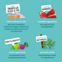 Edgard & Cooper Adult - Zalm & Kalkoen - Kuipje -KONG Verkoopwinkel edgard cooper adult zalm kalkoen kuipje 208619 1000 none