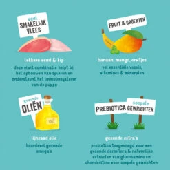 Edgard & Cooper Puppy - Eend & Kip - Blik -KONG Verkoopwinkel edgard cooper puppy eend kip blik 168591 1000 none