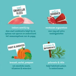 Edgard & Cooper Puppy - Eend & Kip - Kuipje -KONG Verkoopwinkel edgard cooper puppy eend kip kuipje 168675 1000 none