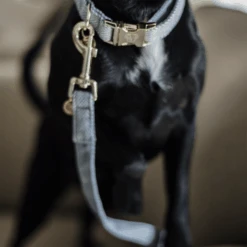 Kentucky Dogwear Hondenlijn Wool -KONG Verkoopwinkel ejrjoyb8lNCNJUWqzyDtR4feCTIyNI metaS2VudHVja3ktRG9nd2Vhci1Ib25kZW5saWpuLVdvb2wtbGljaHRibGF1dy1kZXRhaWwucG5n