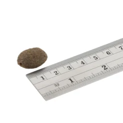 Fish4Dogs Finest Adult Complete - Zalm Grote Brok -KONG Verkoopwinkel fish4dogs finest adult complete zalm grote brok 160940 1000 none