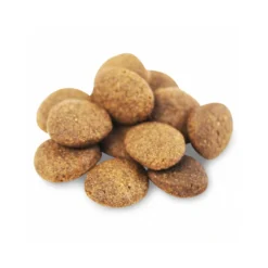 Fish4Dogs Finest Adult Complete - Zalm Grote Brok -KONG Verkoopwinkel fish4dogs finest adult complete zalm grote brok 160943 1000 none