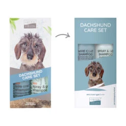 Greenfields Dachshund Care Set -KONG Verkoopwinkel fzDUqs0mx3qCuweYTeiYiDO3w4KOEc metaR3JlZW5maWVsZHMtRGFjaHNodW5kLUNhcmUtU2V0My5qcGc