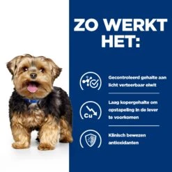 Nieuwkomers -KONG Verkoopwinkel hills ld liver care prescription diet canine 218058 2000 none