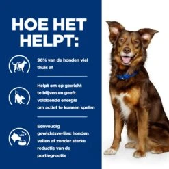 Hill's Prescription Diet Metabolic Weight Management - Canine - Lam & Rijst 16 Hill's Prescription Diet Metabolic Weight Management - Canine - Lam & Rijst -KONG Verkoopwinkel hills prescription diet metabolic weight management canine lam rijst 212684 2000 none
