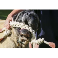HuggleHounds Rope Knotties Monkey -KONG Verkoopwinkel hugglehounds rope knotties monkey 214157 0500 none