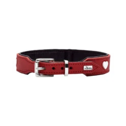 Hunter Collar Love 23 Hunter Collar Love -KONG Verkoopwinkel hunter collar love 223466 1000 none
