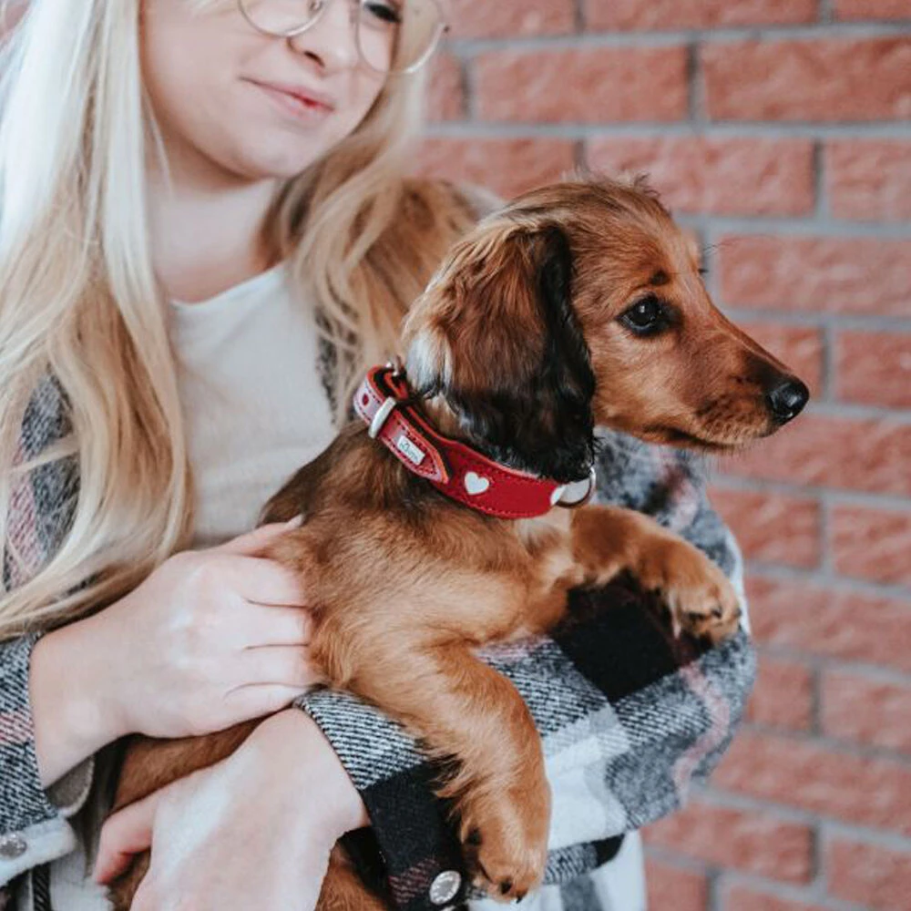 Hunter Collar Love 15 Hunter Collar Love - Afbeelding 15