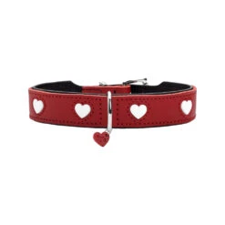 Hunter Collar Love 20 Hunter Collar Love -KONG Verkoopwinkel hunter collar love 55m 137819 1000 none
