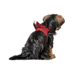 Hunter Harness Love 19 Hunter Harness Love -KONG Verkoopwinkel hunter harness love 223527 1000 none