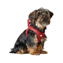 Hunter Harness Love 20 Hunter Harness Love -KONG Verkoopwinkel hunter harness love 223528 1000 none