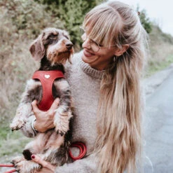 Hunter Harness Love 21 Hunter Harness Love -KONG Verkoopwinkel hunter harness love 223529 0500 none