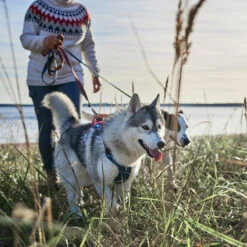 Hurtta - Weekend Warrior Winter Harnas - Bilberry -KONG Verkoopwinkel hurtta weekend warrior winter harnas bilberry 216605 1500 none