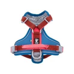 Hurtta - Weekend Warrior Winter Harnas - Bilberry -KONG Verkoopwinkel hurtta weekend warrior winter harnas bilberry 216607 1500 none