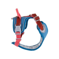 Hurtta - Weekend Warrior Winter Harnas - Bilberry -KONG Verkoopwinkel hurtta weekend warrior winter harnas bilberry 216609 1500 none